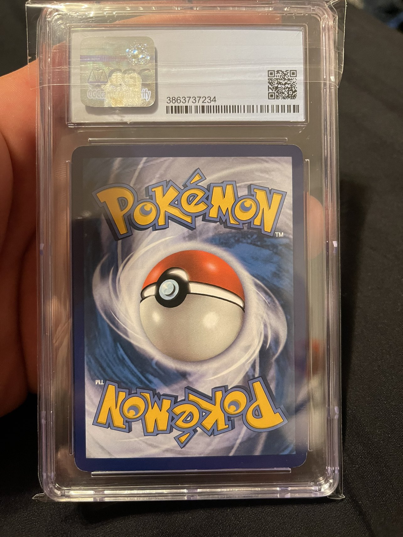 Charizard image indicator(2)