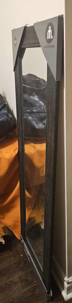 Body Mirror image indicator(2)