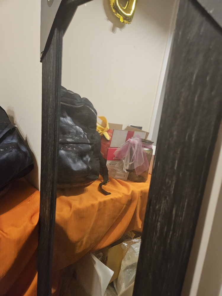 Body Mirror image indicator(3)