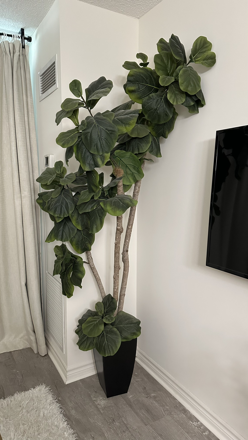 Tall Artificial Fiddle Leaf - photo 3
