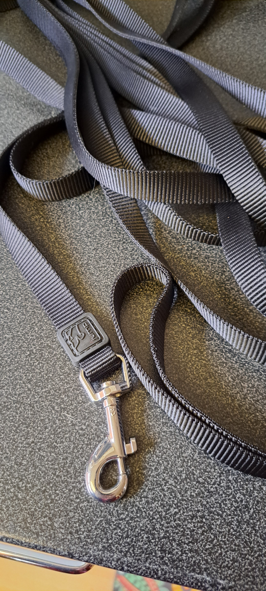 Training lead - photo 2