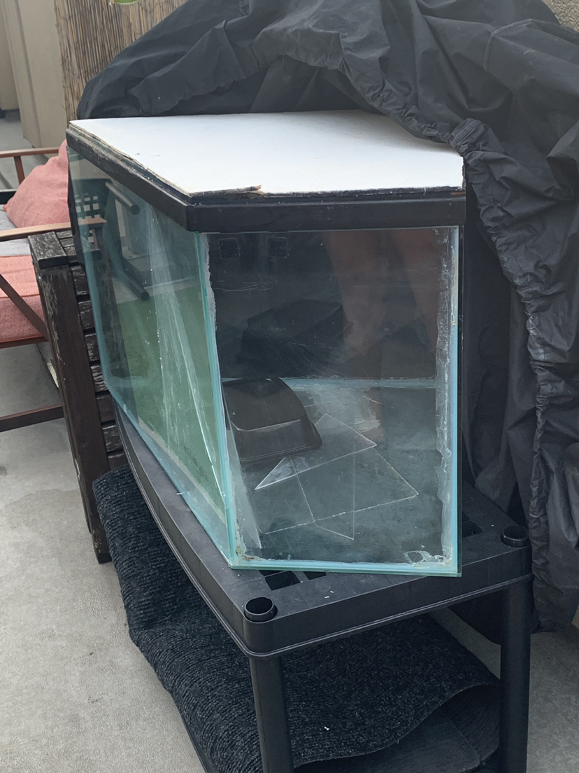 50 Gallon Tank/Terrarium