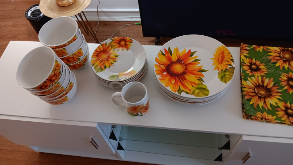 set of plates and bowls and place mats