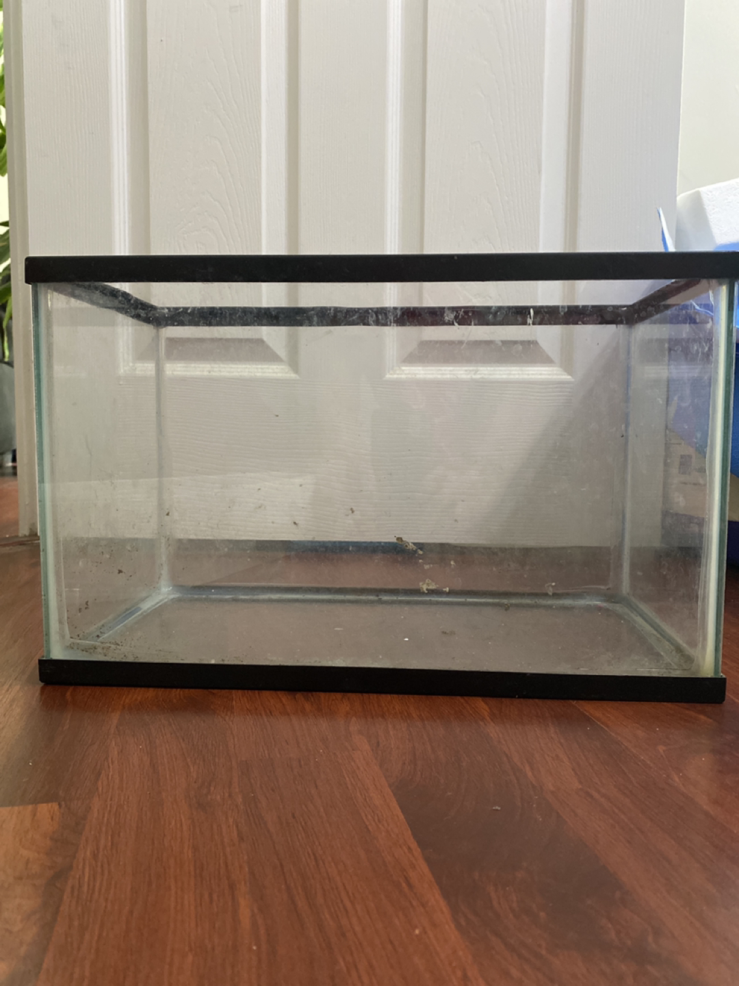FREE FISH AQUARIUM