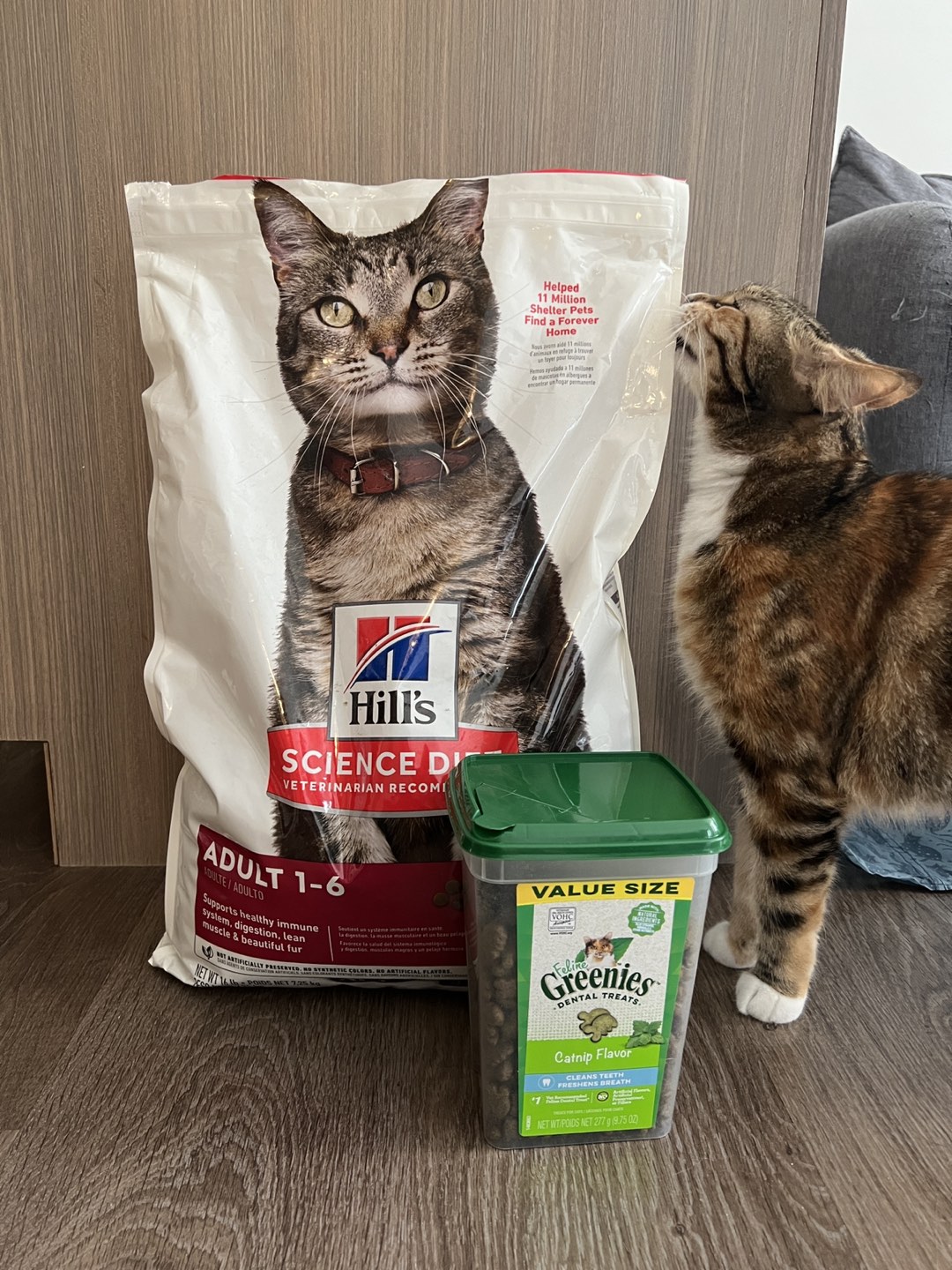 Hills cat food 16lb (half finished) plus treat