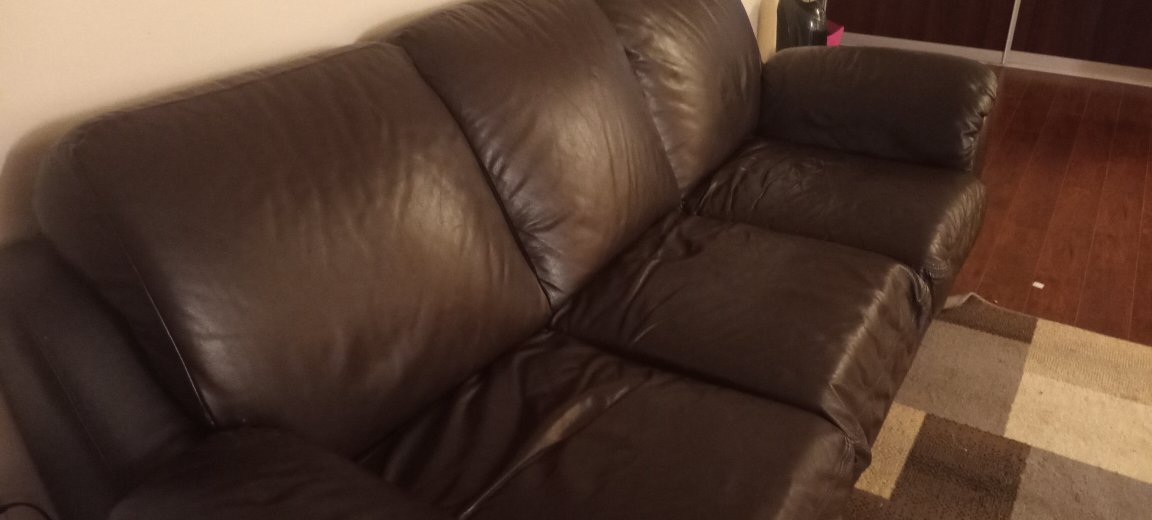 Pure leather sofa (3 seater) - photo 3