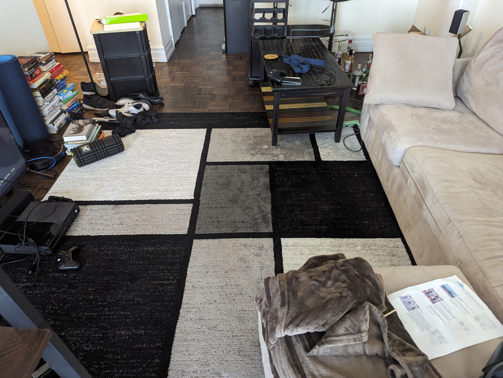 Large Living Room Rug - photo 2