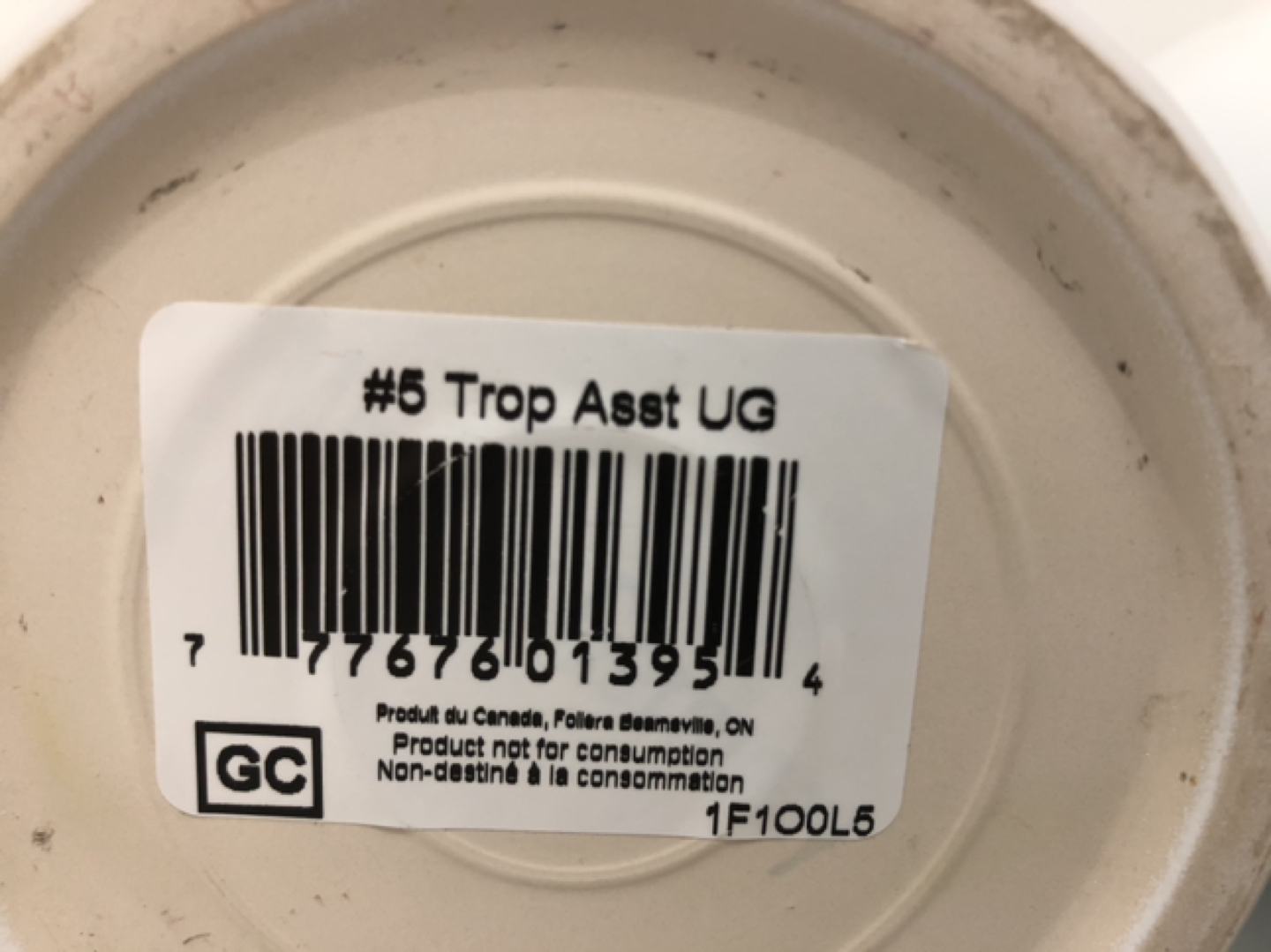 4 various white pots made in Canada and Germany@downtown image indicator(6)