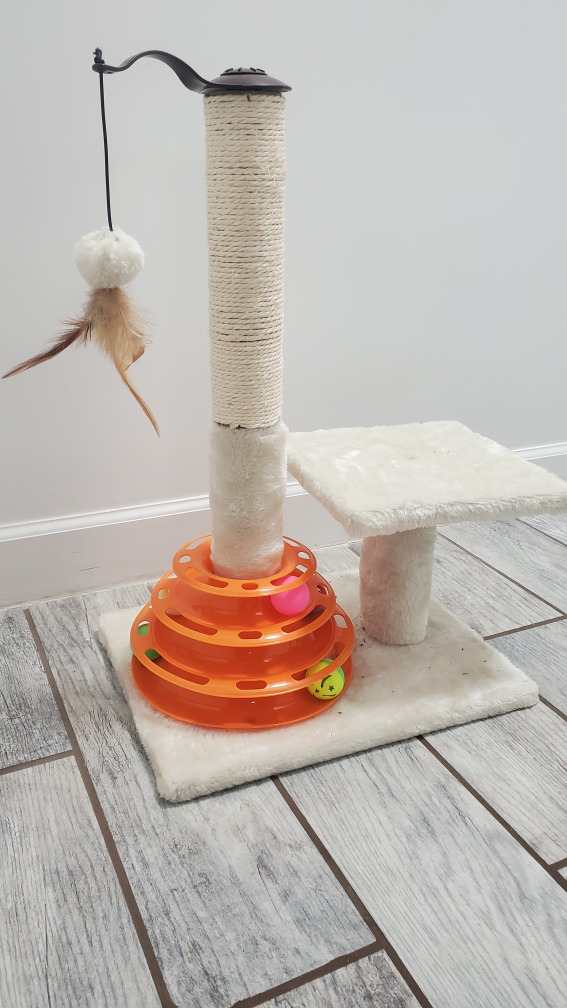 Cat Scratcher/Toy