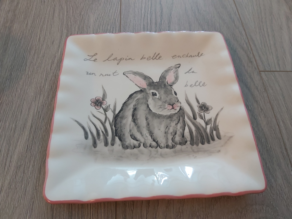 Square bunny plate #freecycle