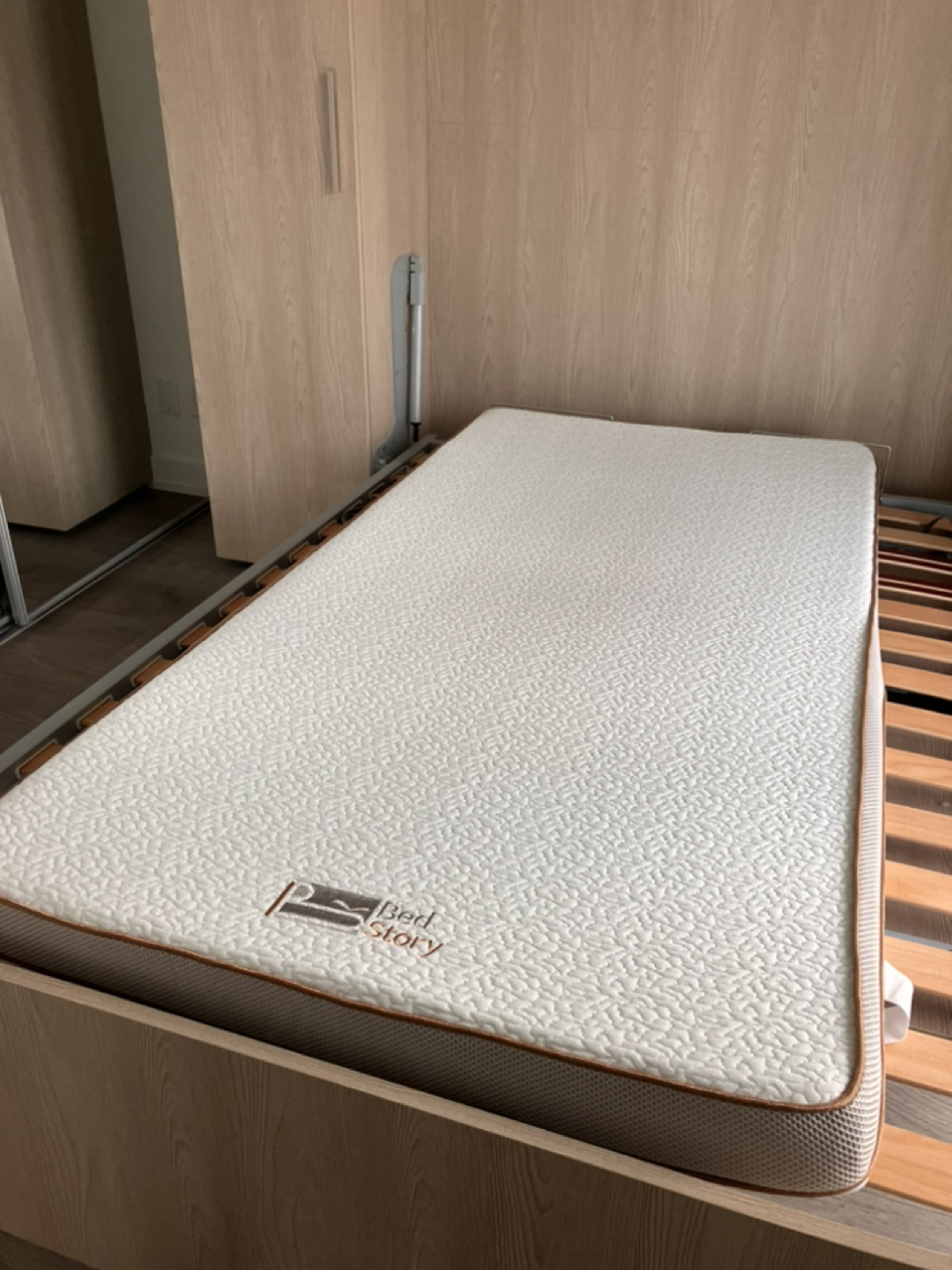 Twin Mattress