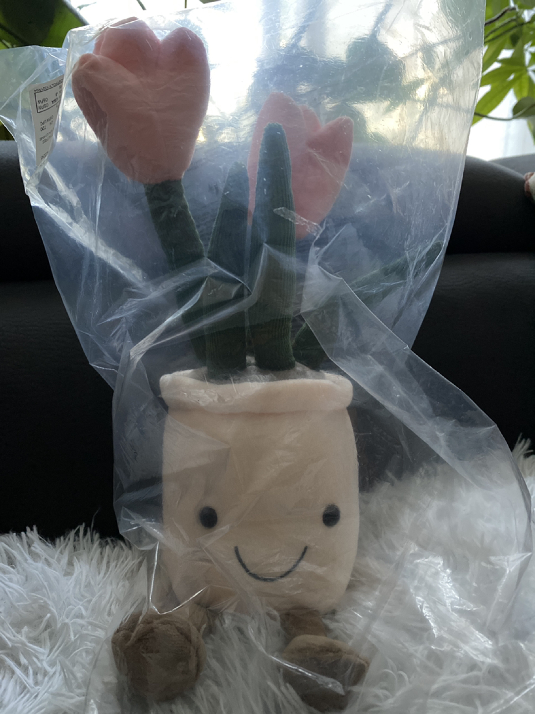 PLANT PLUSH TOY (NEW)