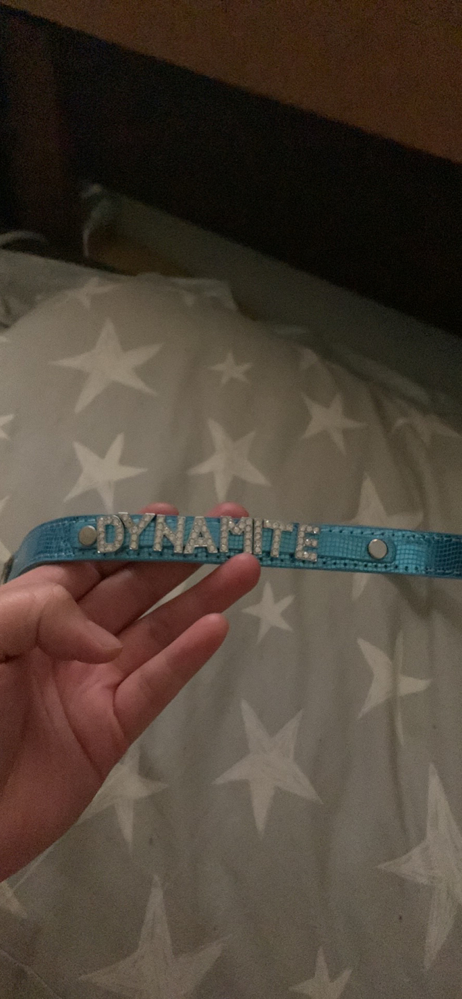 Free dog collar thumbnail