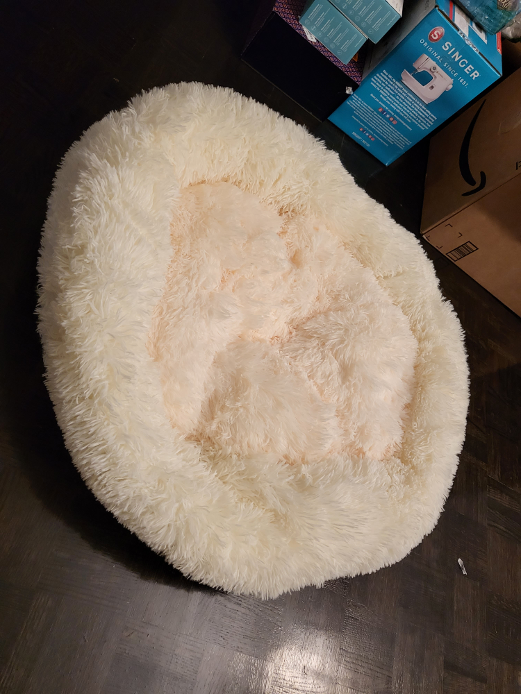brand new Dog bed