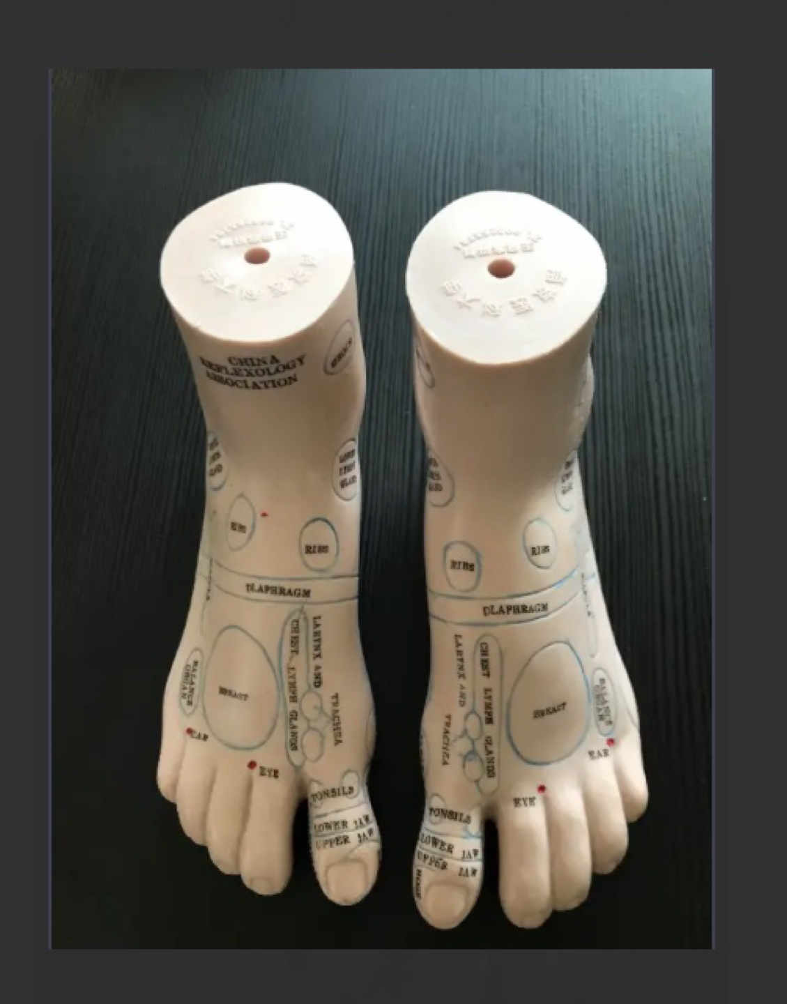 Reflexology model feet
