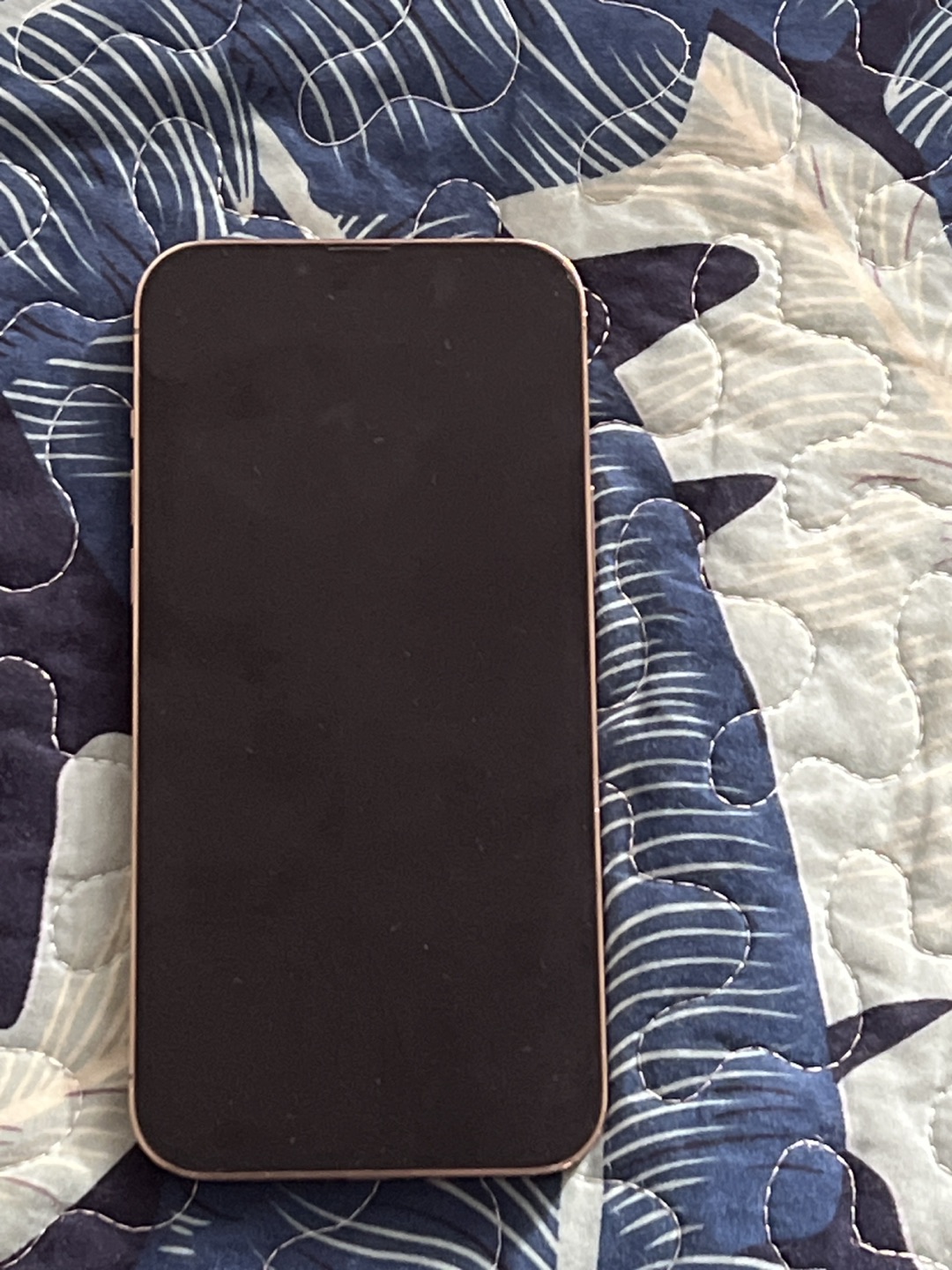 iPhone 13 Pro Max 128 gb