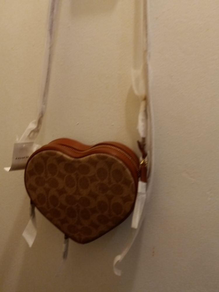 Coach Slippers and Bag image indicator(4)