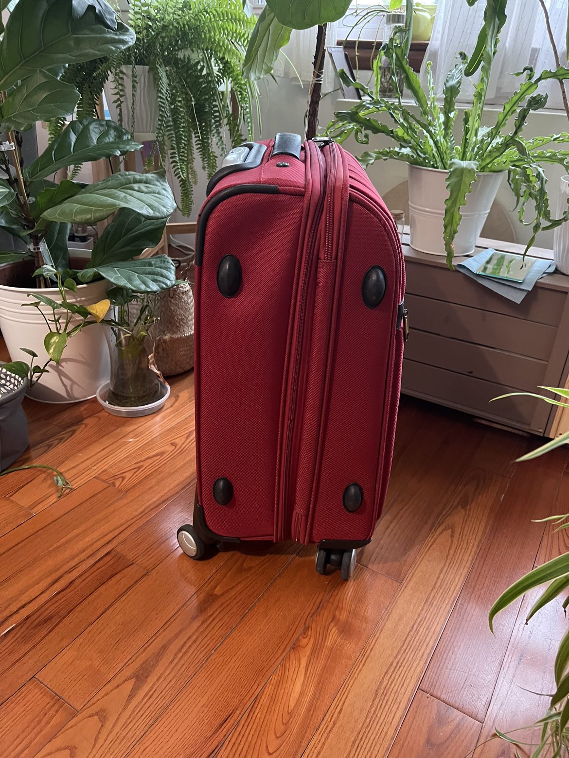 Carry on - standard size - photo 5
