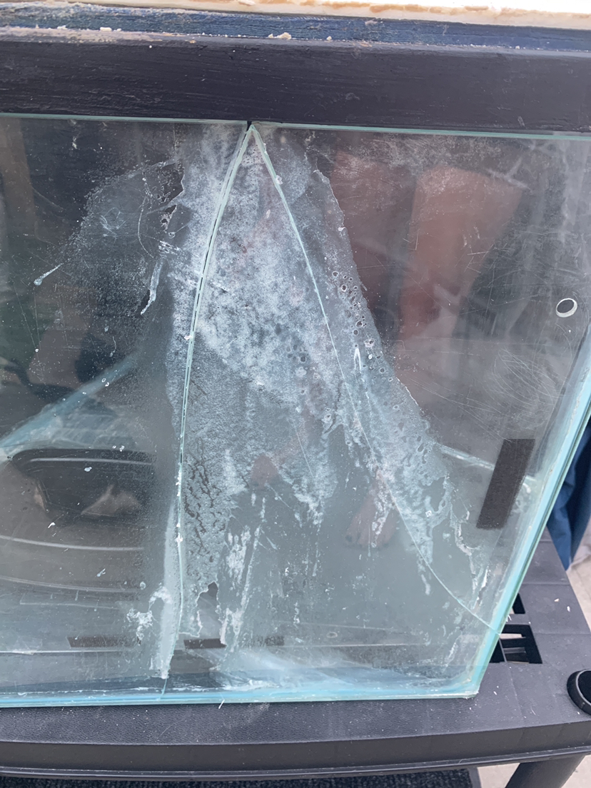 50 Gallon Tank/Terrarium - photo 2