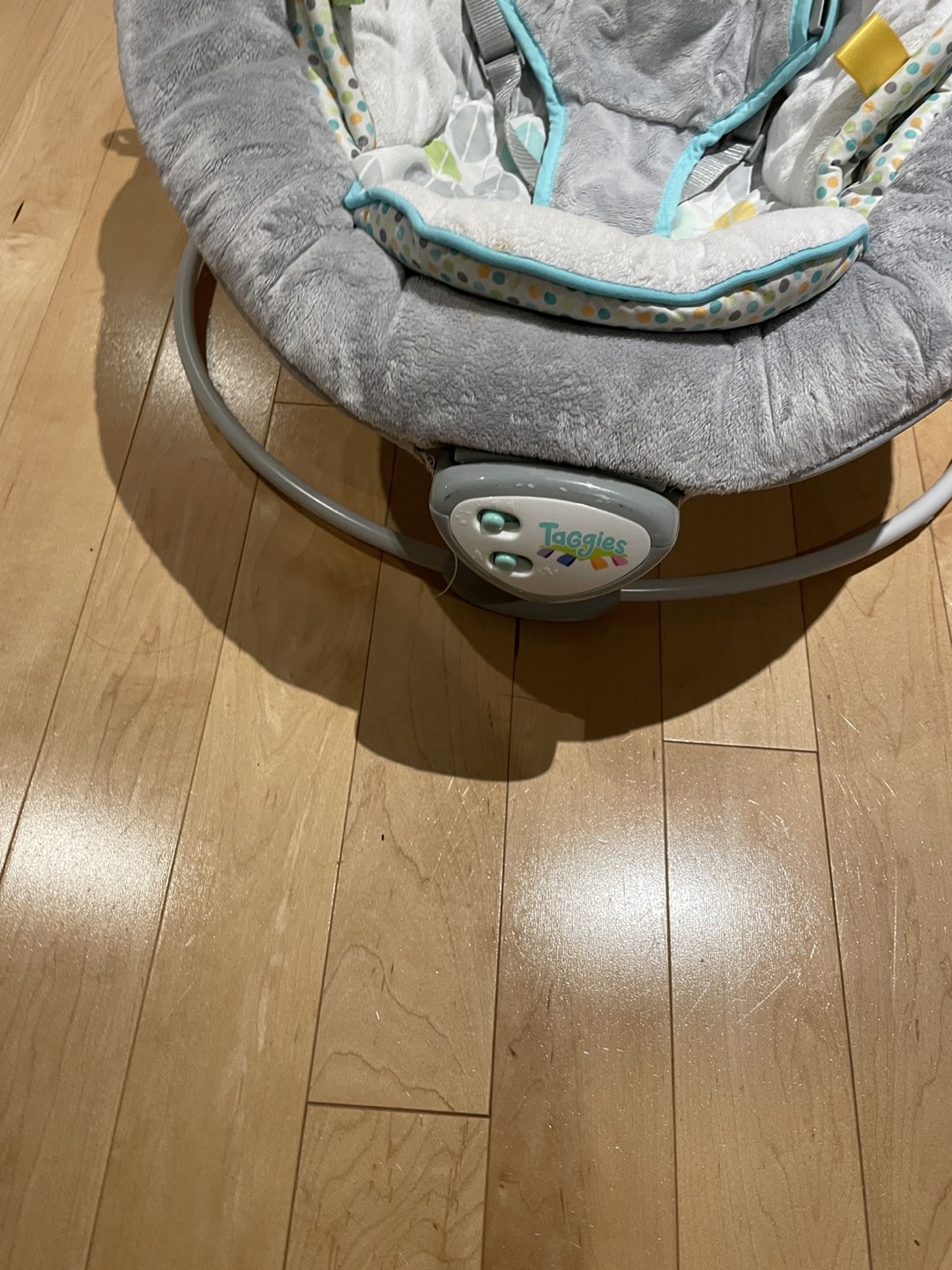 Taggie Baby Bouncer - photo 3