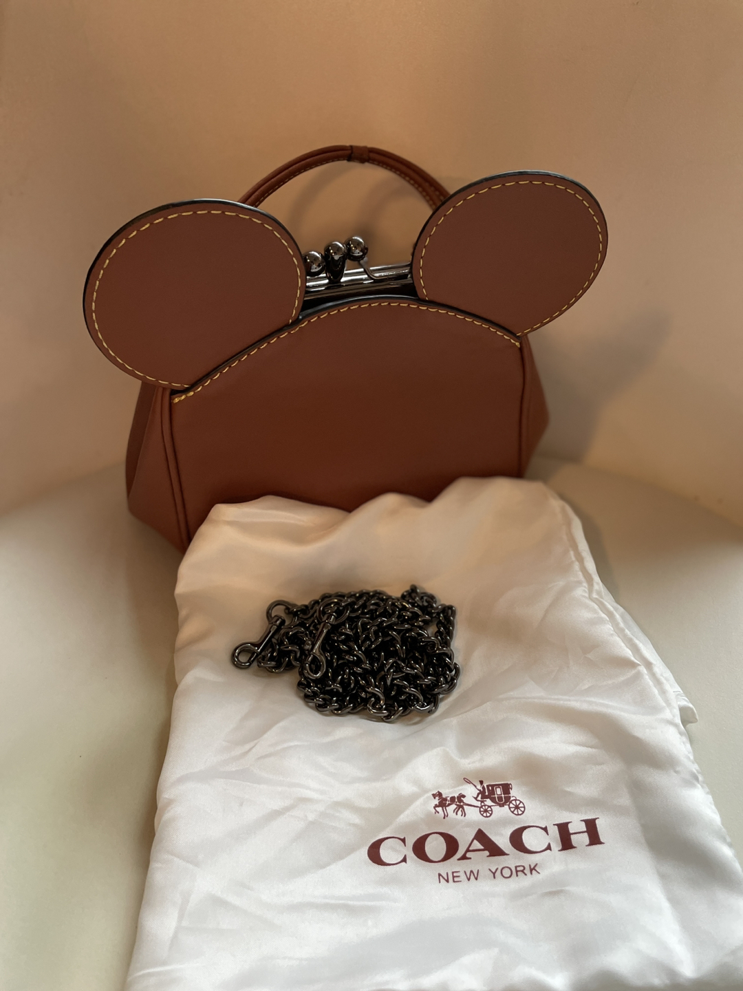 Coach Mickey Mouse Bag