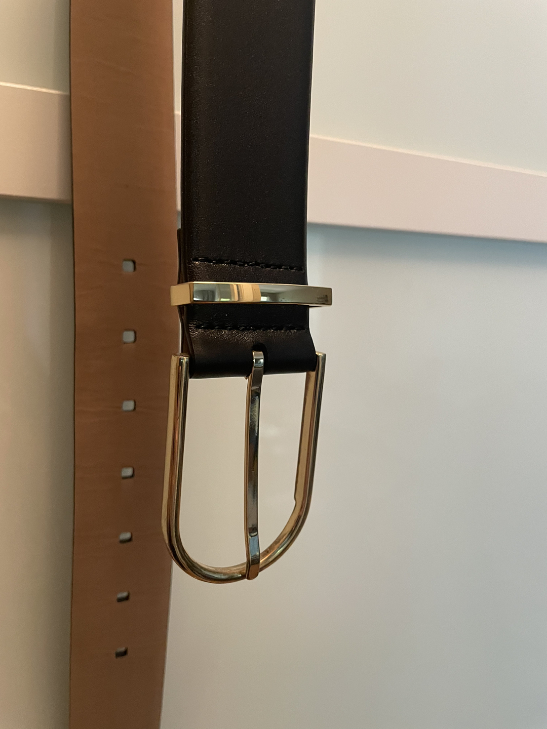 Aritzia Alxiliary Leather Belt