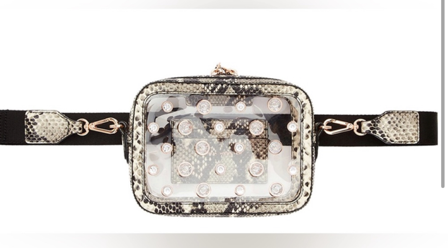 Sophia Webster clear snake print bag