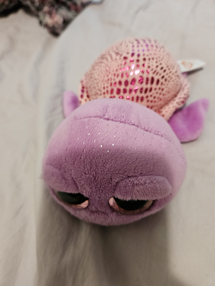 Beannie Boo's image indicator(5)