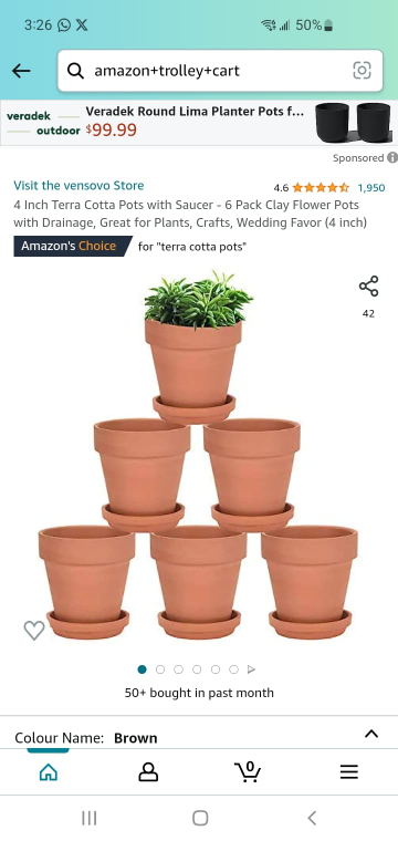 4 Inch Terra Cotta Pots with Saucer thumbnail