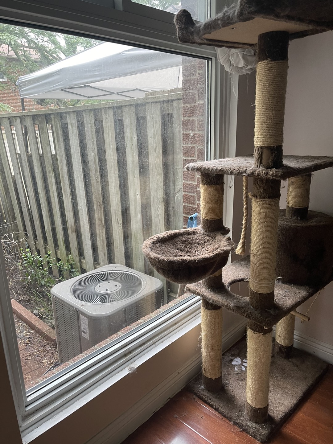 Used cat tree .. FREE — need clean up / 1.5m tall thumbnail
