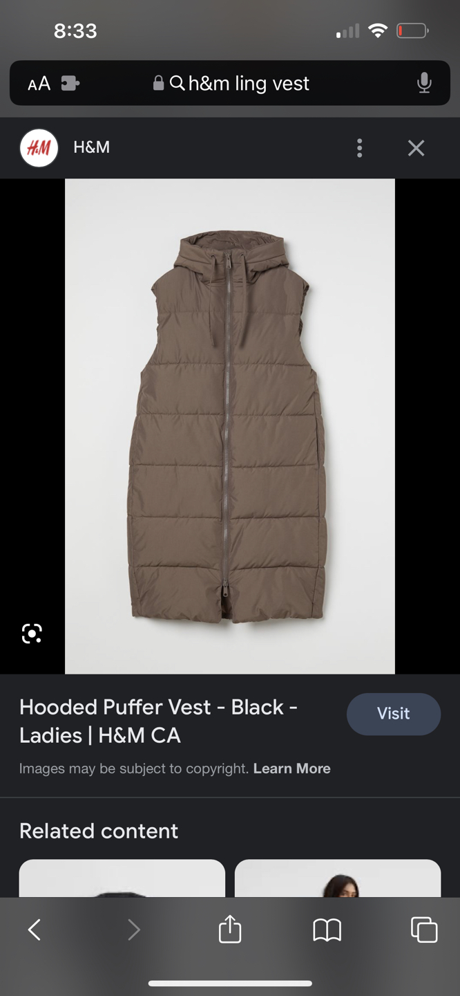 Long Vest H&M - photo 3
