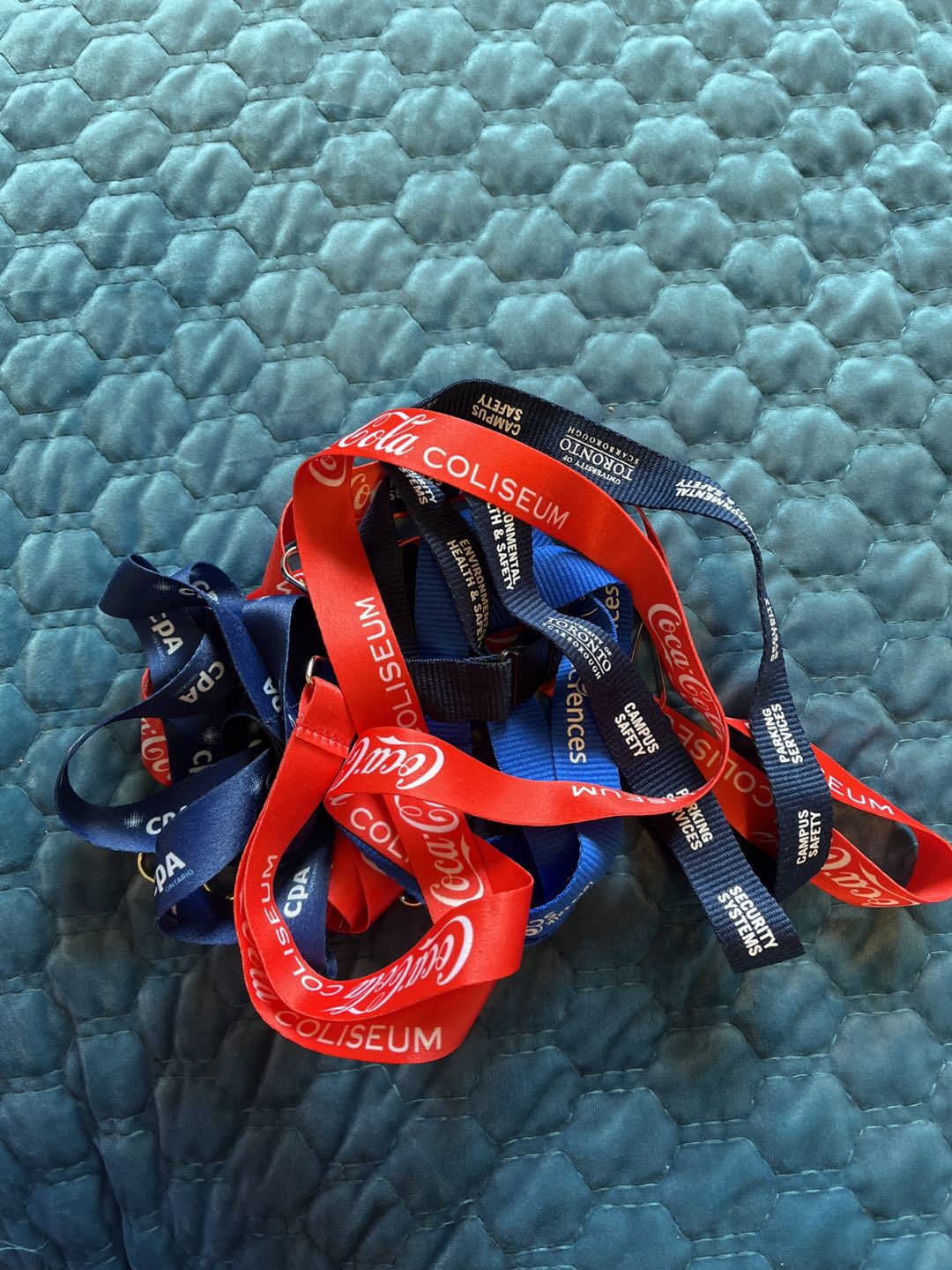 5 Lanyards thumbnail