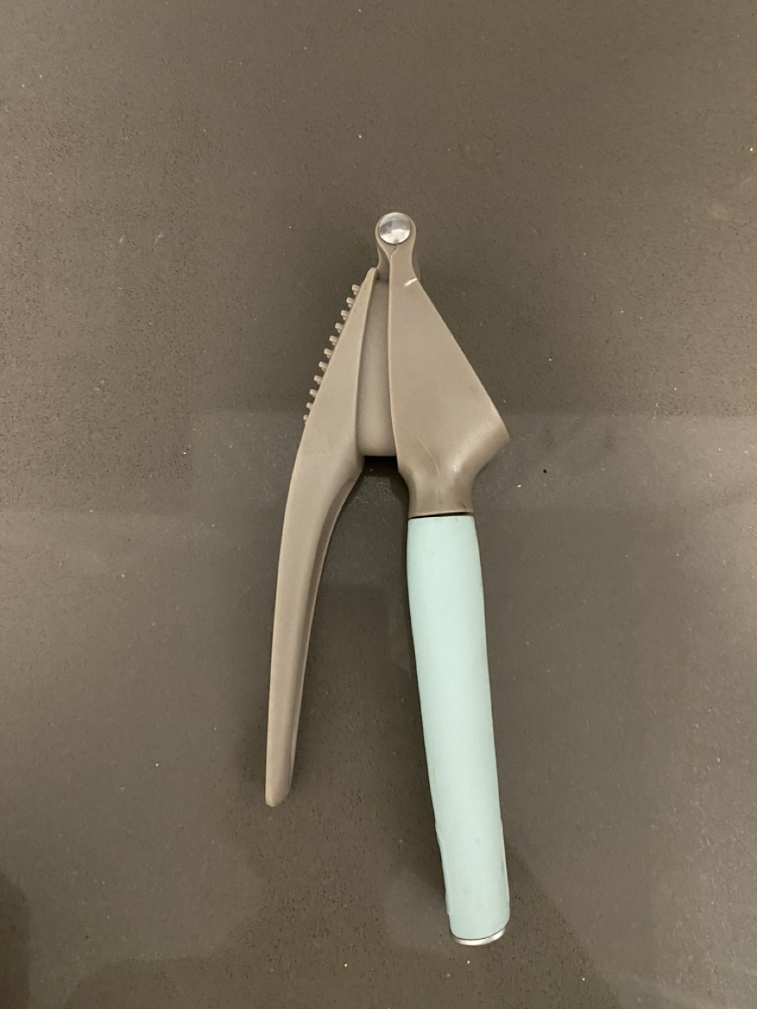 Garlic Press Squeezer