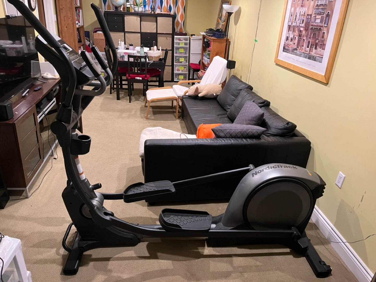 Nordic Track Elliptical Karrot