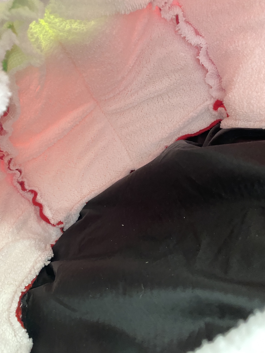 Free cat /puppy / small dog hut image indicator(6)