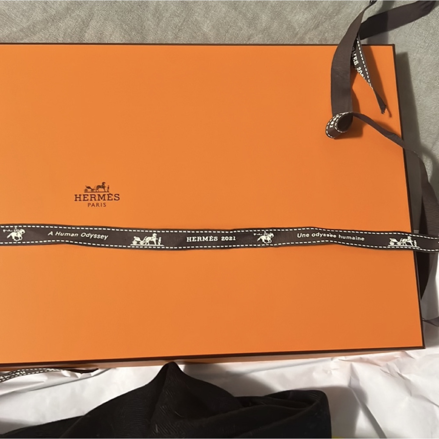 NWT Hermes Cashmere Shawl image indicator(10)