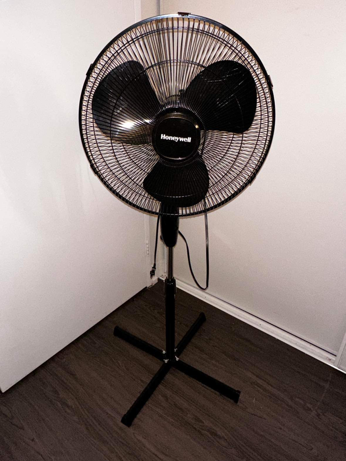 Brand New Fan