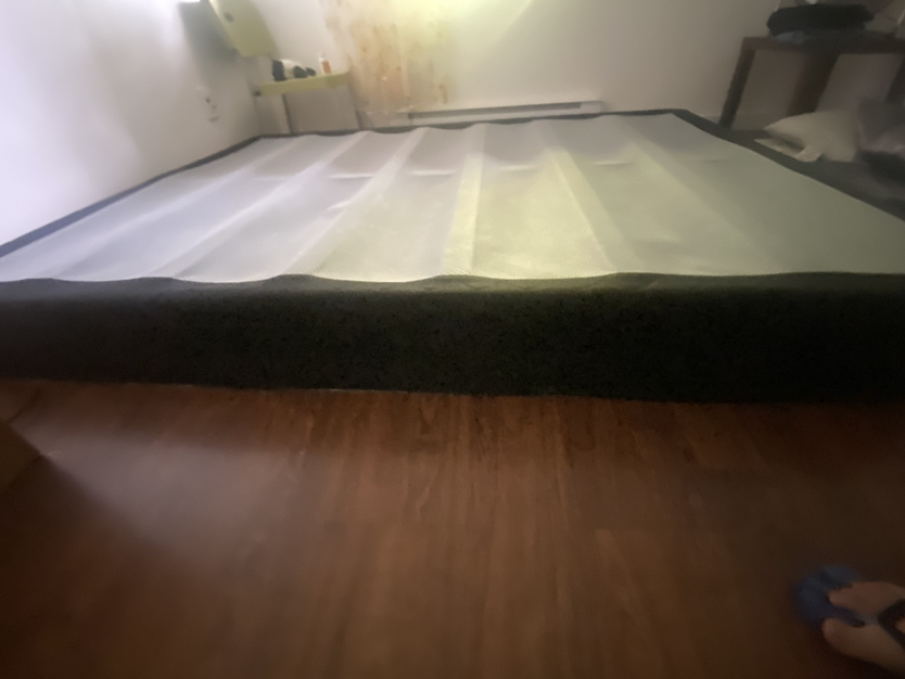 Queen Mattress and Spring Box - photo 5