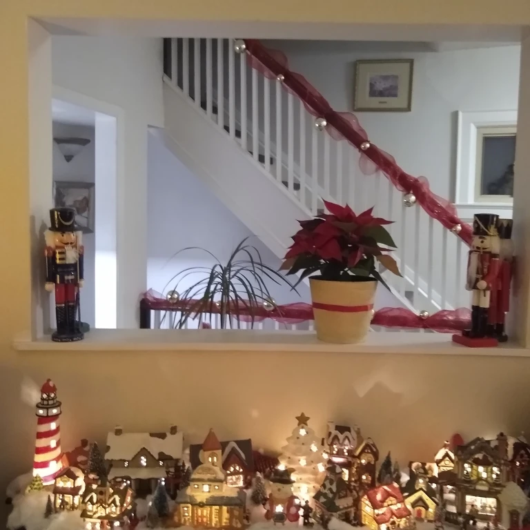 Christmas Decorations image indicator(2)