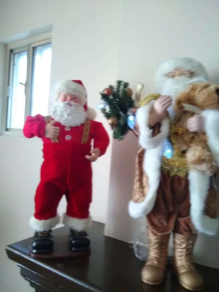 Christmas Decorations image indicator(4)