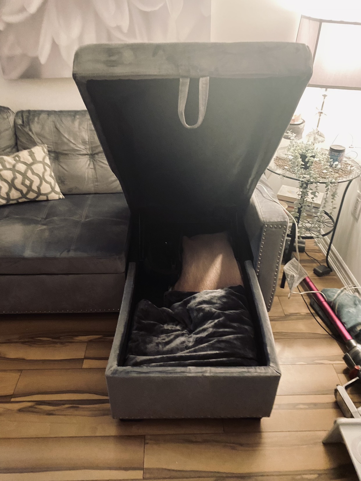 Sofa condo size image indicator(2)