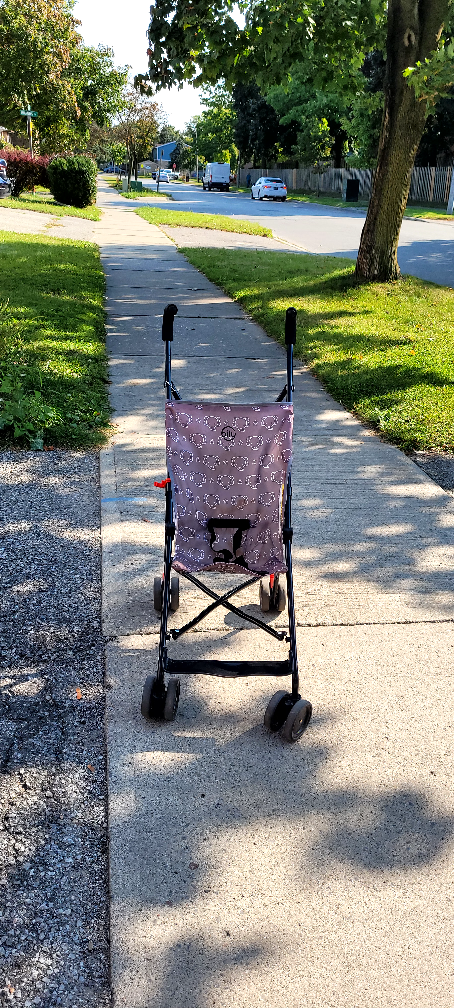Travel Stroller
