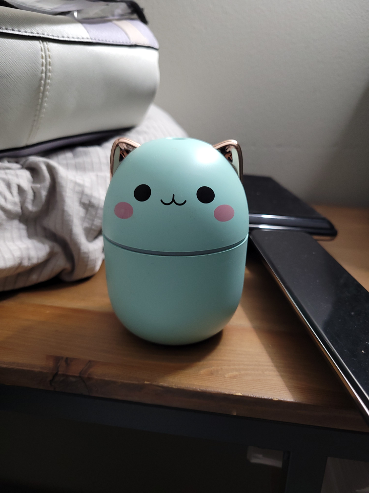 kitty cat diffuser 🥕