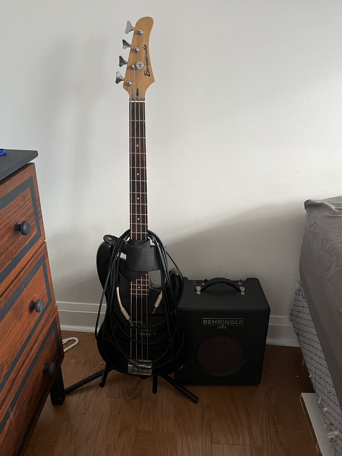 Bass and amp - photo 2