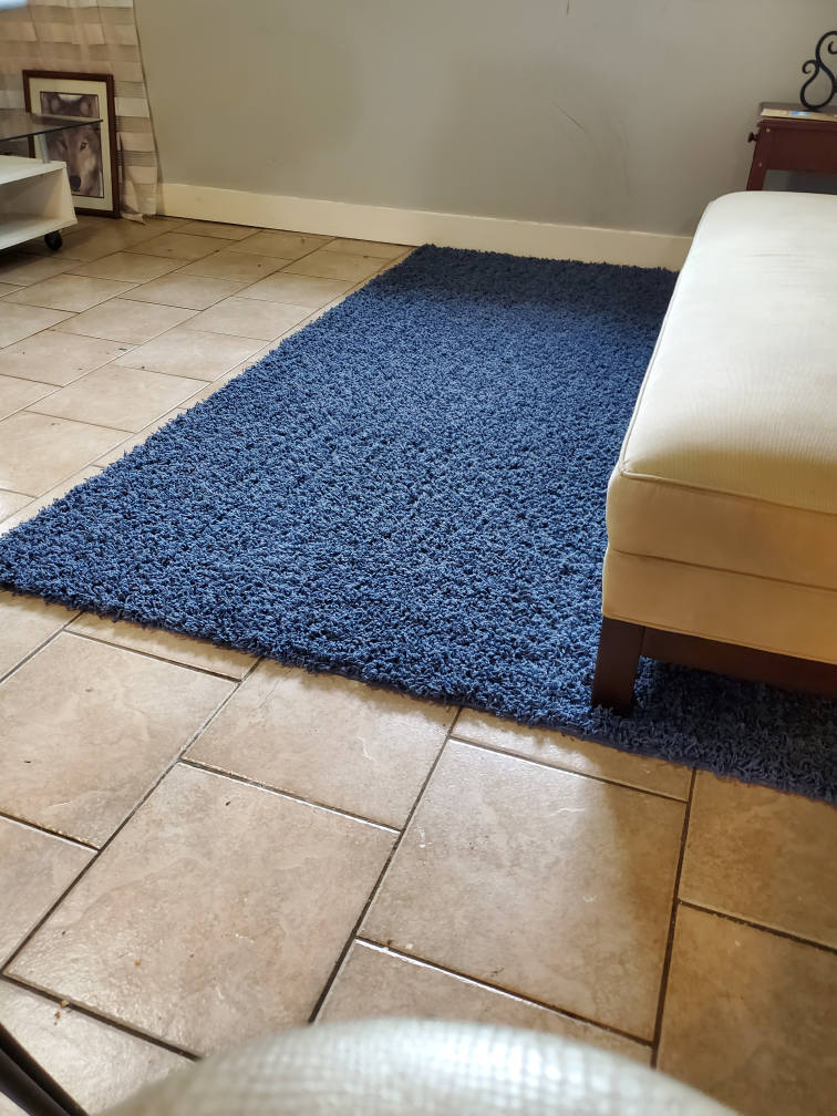 Brand New Blue Shag Carpet / Rug image indicator(2)