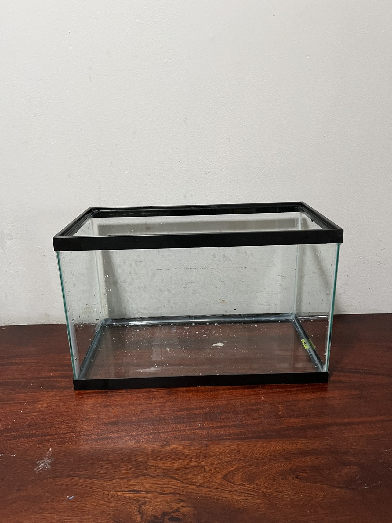 10 gallon tank