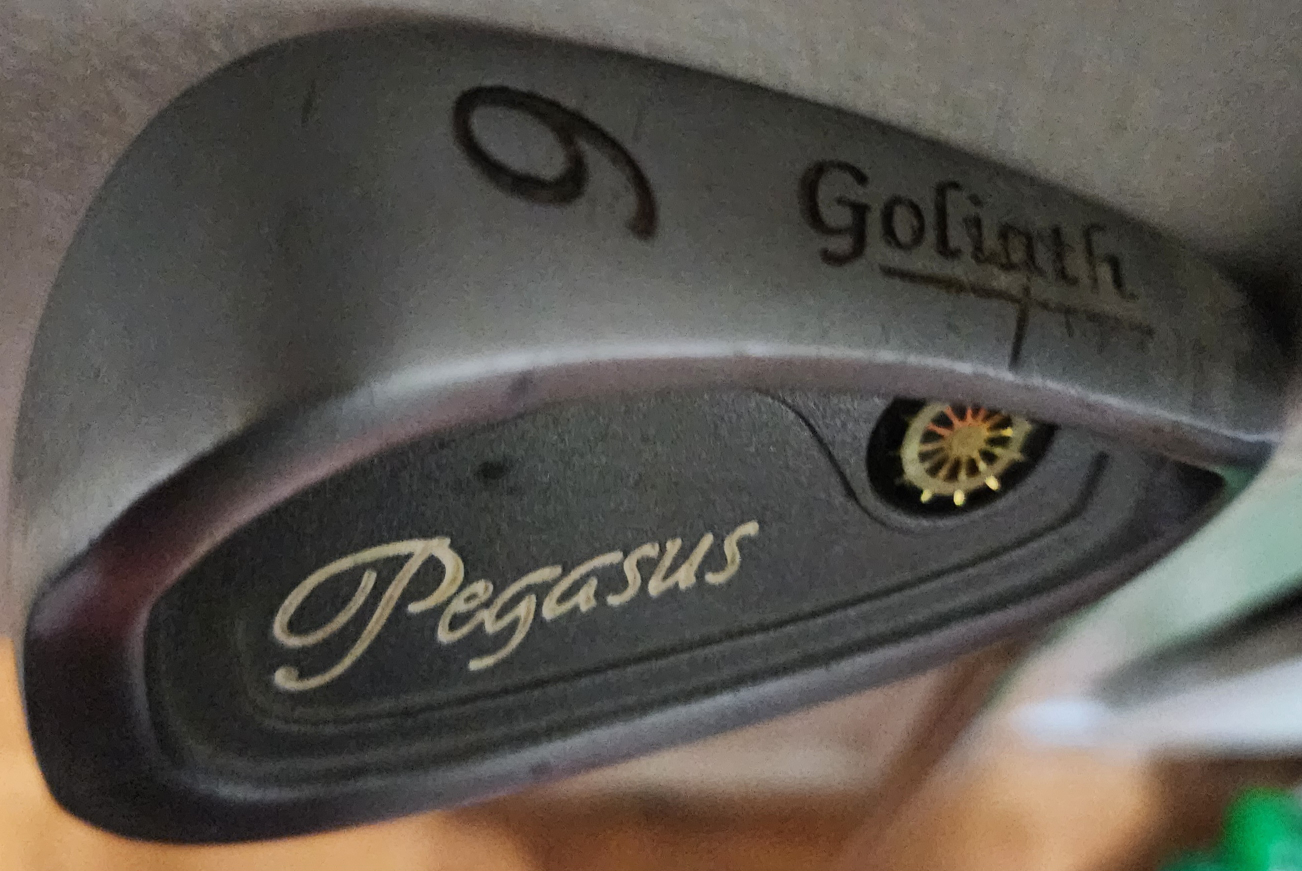 Women's golf clubs, R - photo 4