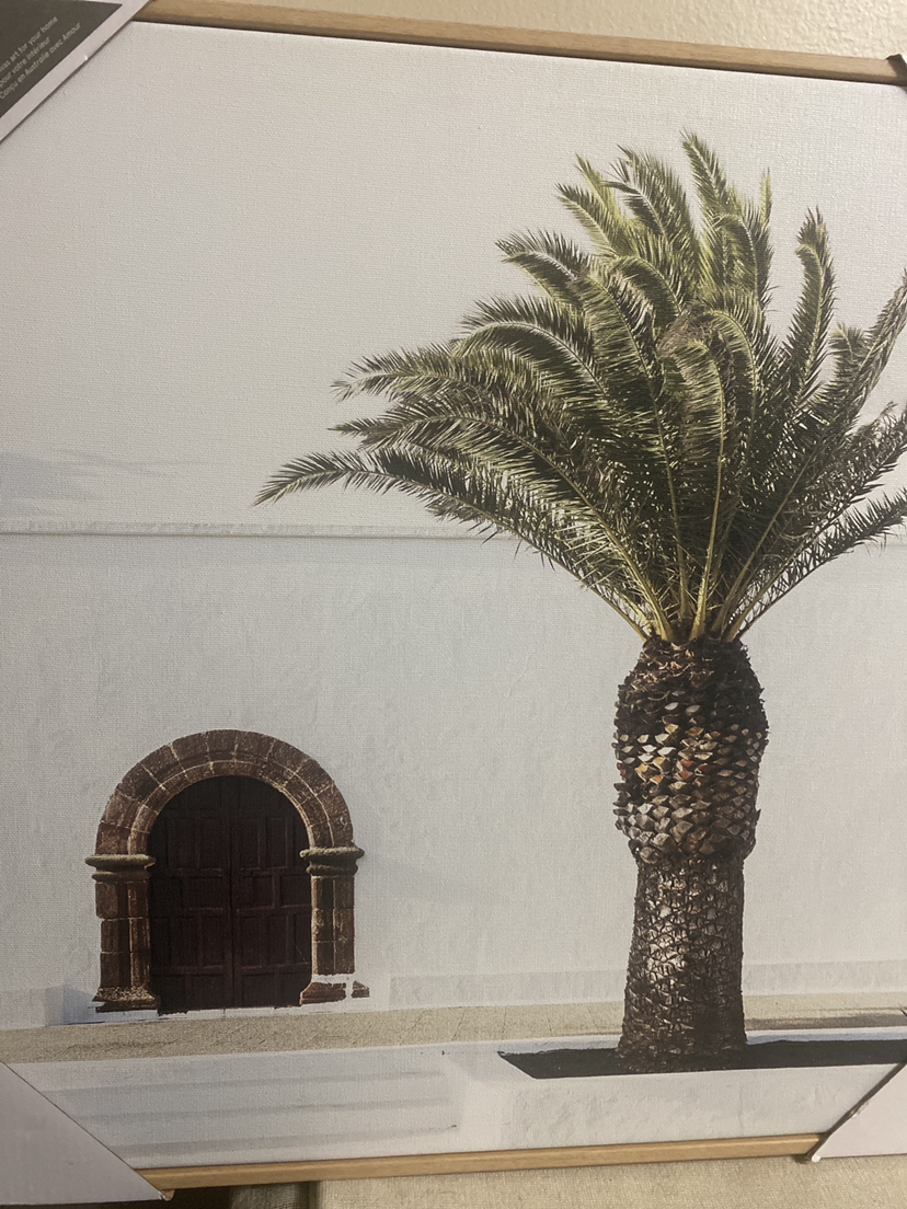 🧡Frameless with picture image indicator(4)