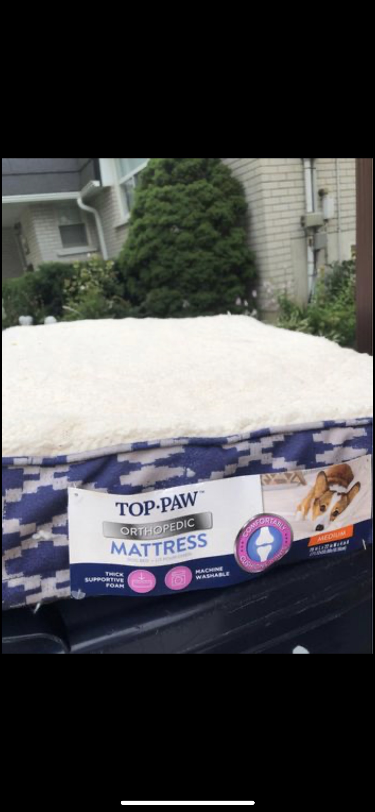 New top paws dog bed 22 x28 inch thumbnail
