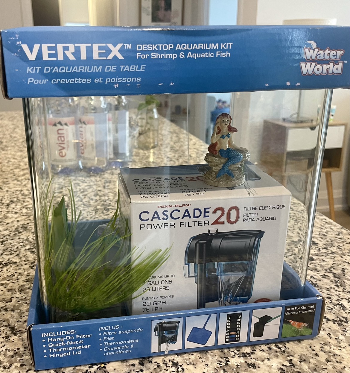 💧Tiny Aquarium Treasure: VERTEX™ Desktop Kit!🐟